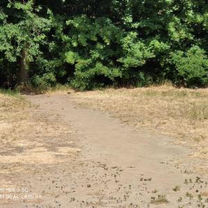 Rastplatz Dong an der A57