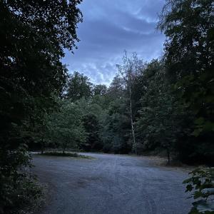 Waldparkplatz
