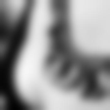 Schnecke11
