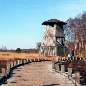 Hiller Moor