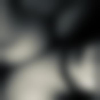 wesearch_she