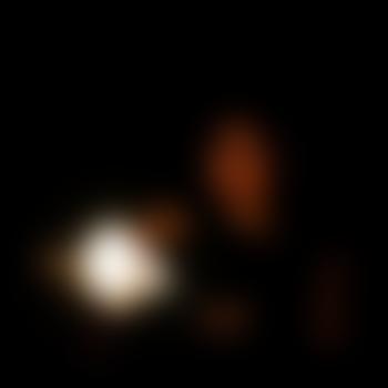 Wölfchen-aus-Bayern