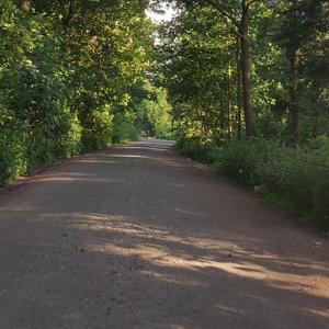 Tannenhausen Silbersee