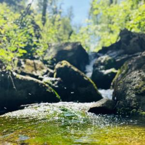 Harzer Wandernadel 🥾 🏔️