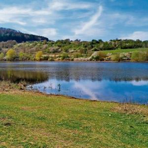 See Rischenhausen(Speicher Bauerbach)