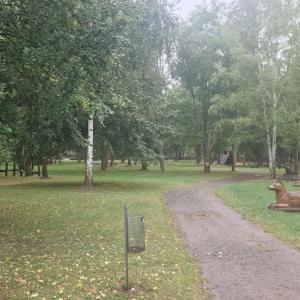 ABENTEUERSPIELPLATZ SCHADELEBEN