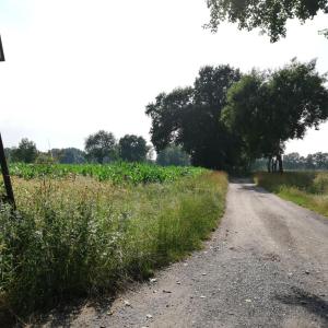 Sextreff am Angelsee