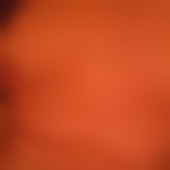 Icke-9021