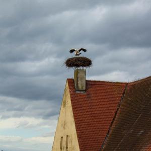 Aischgrund