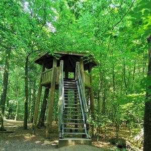 Turm im Wald