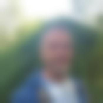 zebra45