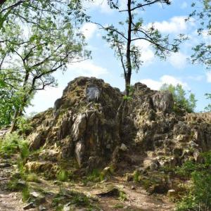 Donnersberg Königsstuhl
