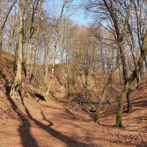 Abfahrt - Wilder Mann