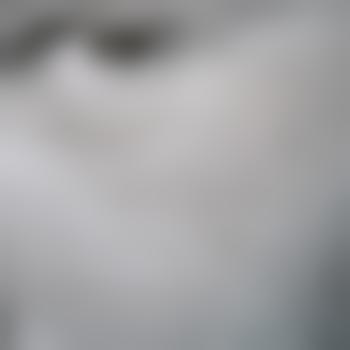 DAMSONOFAGUN66