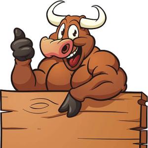 Bullen für (zarte) Stuten