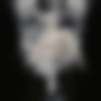 Wölfin_68