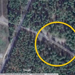 Bickelsteiner Heide zwischen Ehra und Boitzenhagen