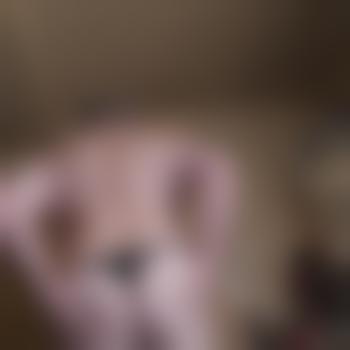 bigeil67