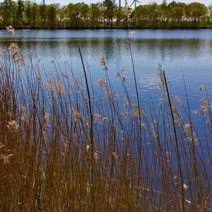 Karlshofer See