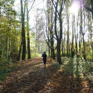 Wald am Netto Parkplatz in Waltrop
