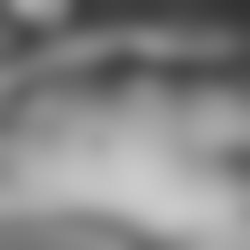 adventure1582