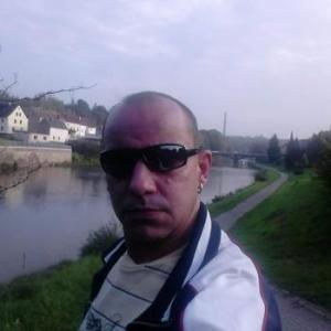 hamsder