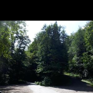 Wanderparkplatz Abfahrt B 243 Barbis