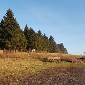 P -  Herchenhainer Höhe