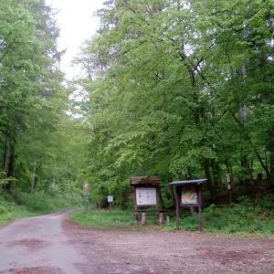 Parkplatz am Nationalpark (Südharz) - Barbis