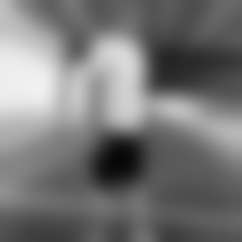 Steve-8_0