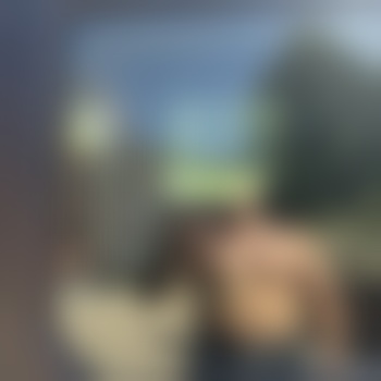 Montage1313