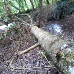 Solingen Kohlfurt Top Gay pp heiss