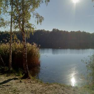 Grüner See - Gurke
