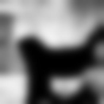 PaarAusDo82