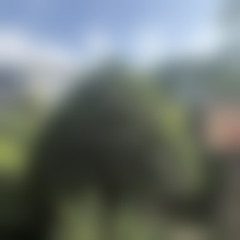 reiferengel001