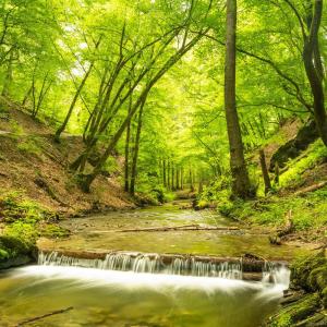 Trier-Koblenz Outdoor / Parkplatz NUR BI