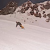 Olaf1226