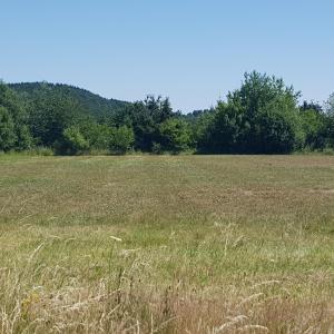 Ruhiges fleckchen