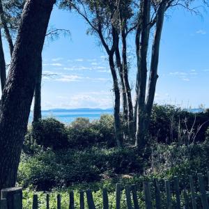 Urlaub in/um Saint Tropez  + FKK