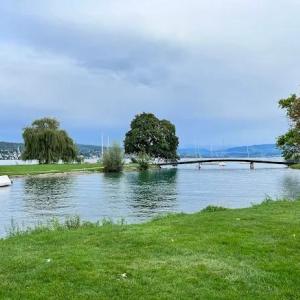 Reale Treffen Grossraum Zürich für Alle