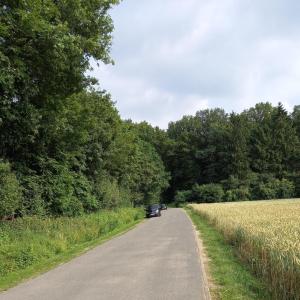 Rastplatz Münsterland West A1