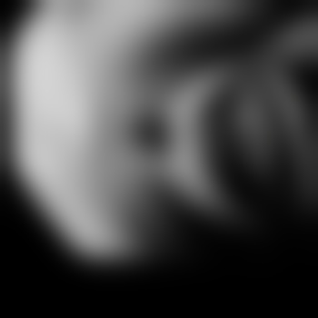 fichte189