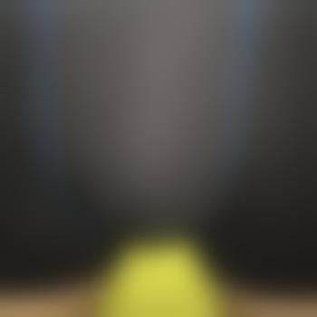 SunnyDick01