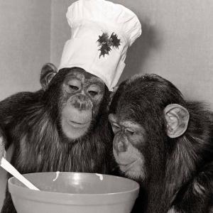 🍳👨‍🍳 Orales Vergnügen 👩‍🍳🌶️🍈🍈🥒