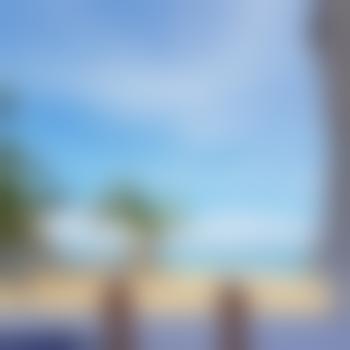 Endlesssummer5
