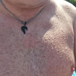 polarbaer50