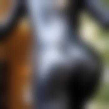 blackladysex