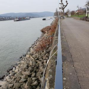 Braubacher Rheinanlagen b42 und Rheingelände