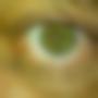 genialertyp
