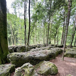Druidenhain bei Wohlmannsgesees